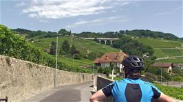 Our cycle route takes us through the vineyards at Chemin de Plantaz, Lutry as a train passes over the nearby viaduct, 7.6 miles into the ride